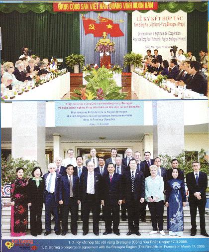 Hình ảnh