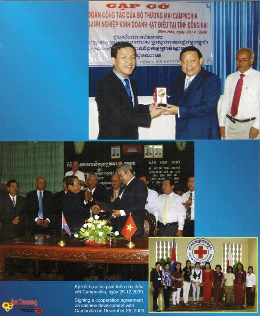 Hình ảnh