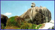 Hình ảnh